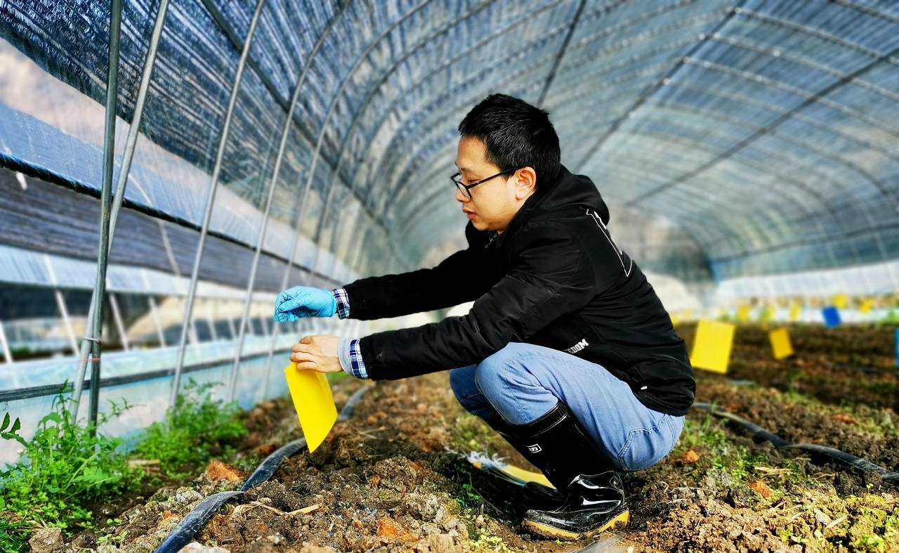 扎根田野，書寫大地——記貴州理工學院教授柏松的自然科學研究之路